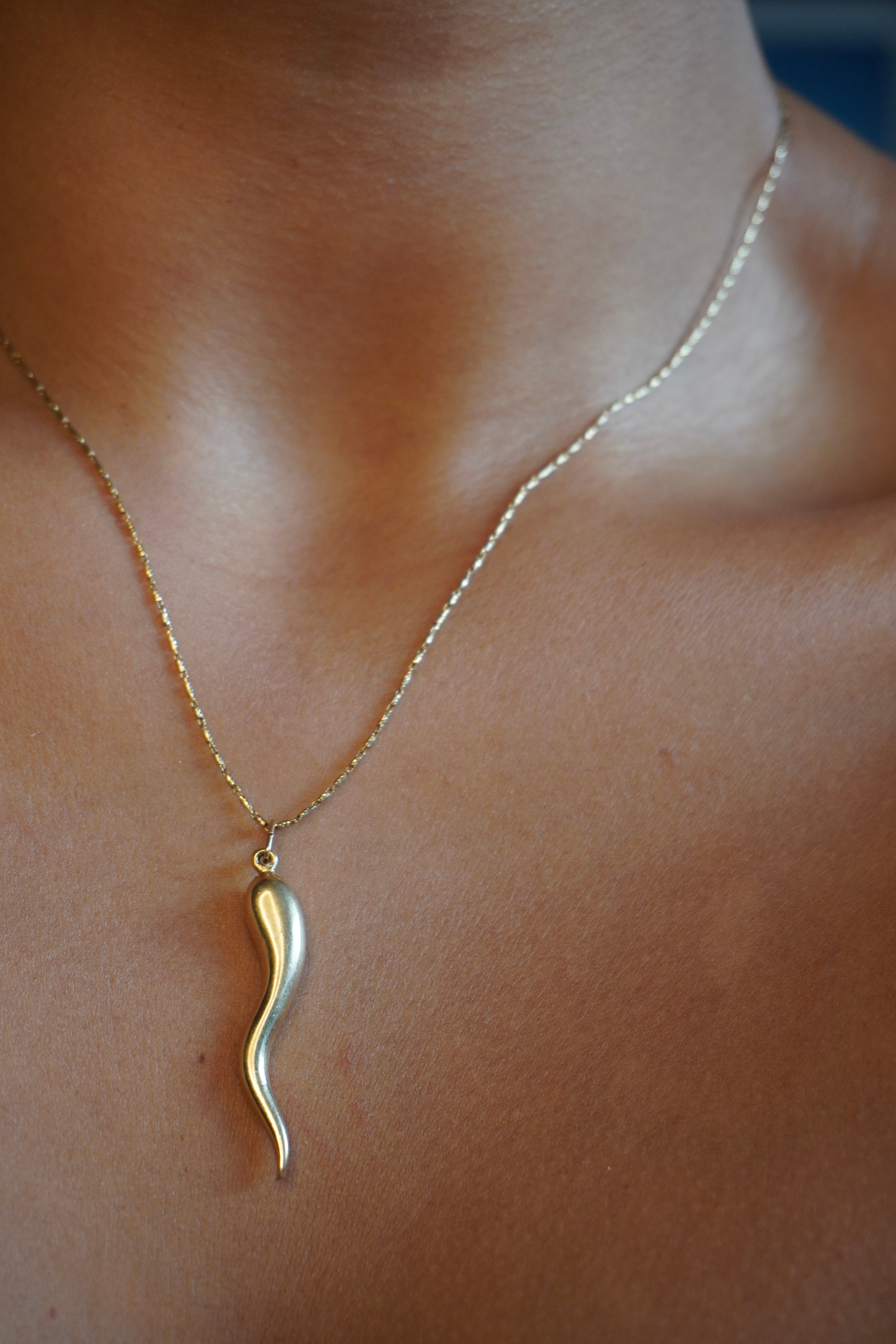 14K Yellow Gold Cornicello Pendant
